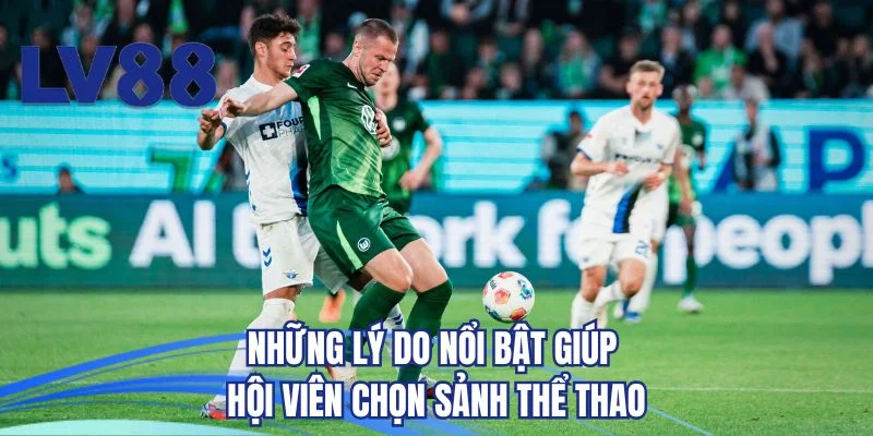 Những lý do nổi bật giúp hội viên chọn sảnh thể thao